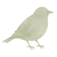 Birdies Social Club logo