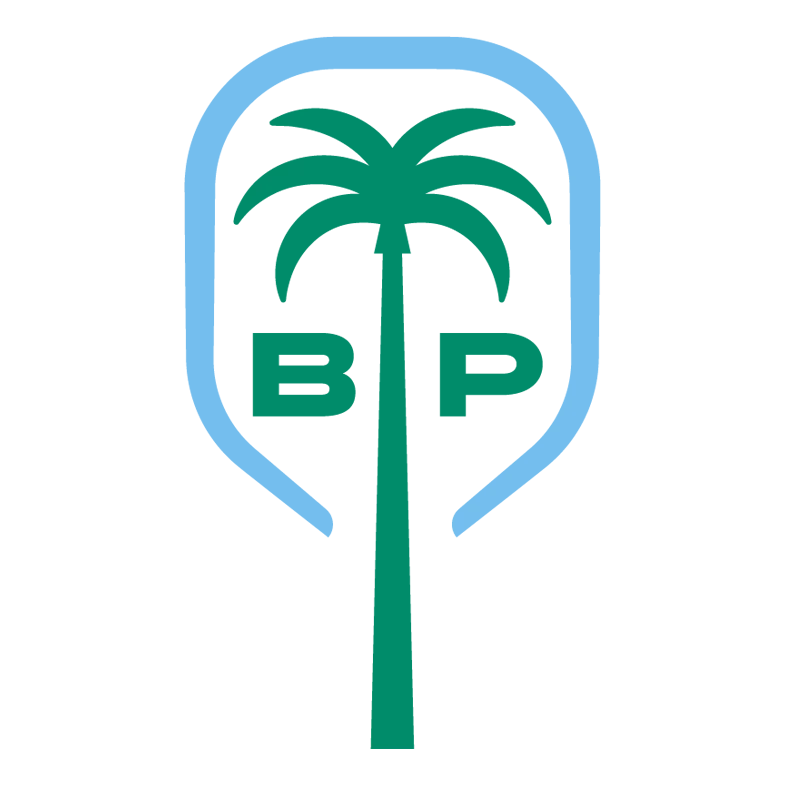 Boca Paddle logo