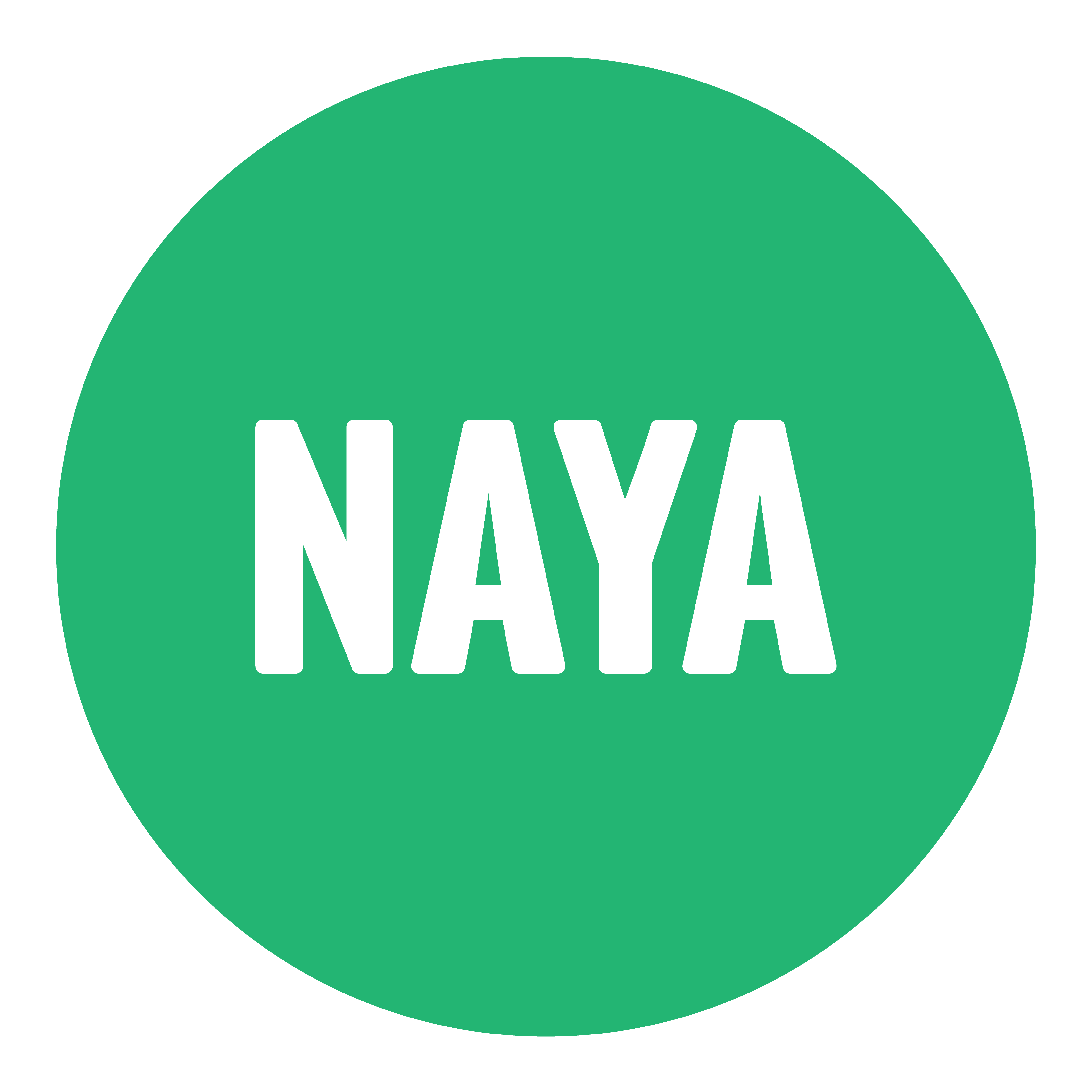 Naya Park Slope logo
