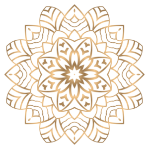 Rti Habibiz Chinese logo