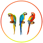 Taqueria Los Pericos logo