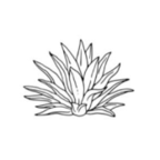 Tequileros Taqueria logo